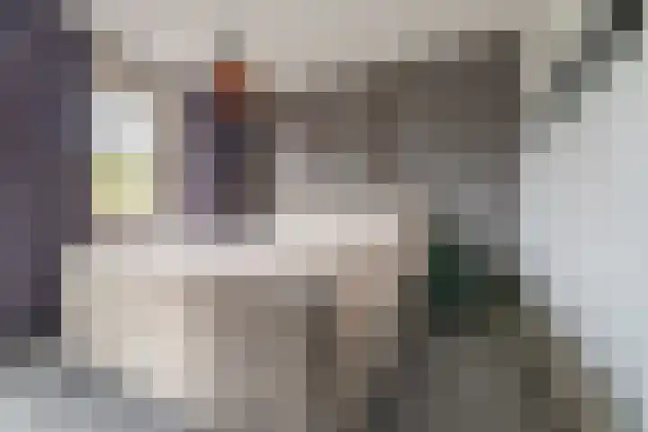 Heijhorst 51 Scherpenzeel thumbnail 16