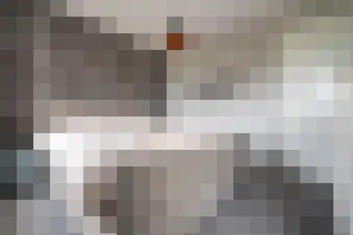 Heijhorst 51 Scherpenzeel thumbnail 17