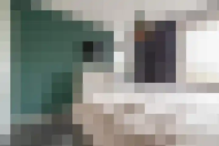Heijhorst 51 Scherpenzeel thumbnail 18