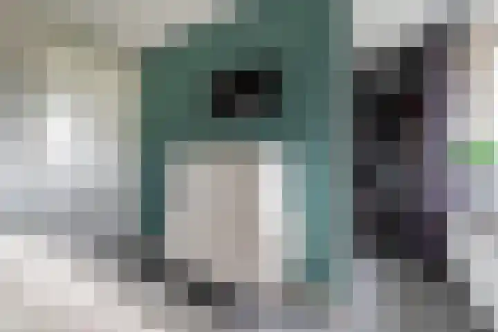 Heijhorst 51 Scherpenzeel thumbnail 19