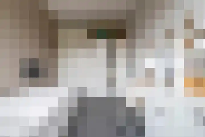 Heijhorst 51 Scherpenzeel thumbnail 22