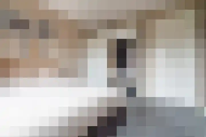 Heijhorst 51 Scherpenzeel thumbnail 24