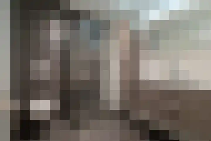 Heijhorst 51 Scherpenzeel thumbnail 27