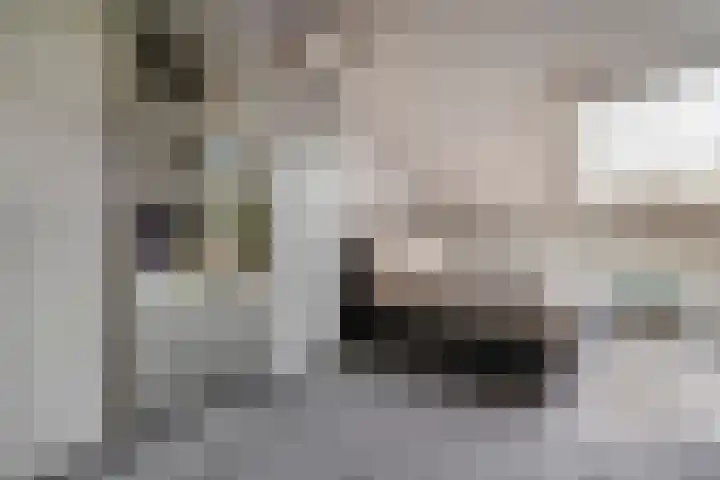 Heijhorst 51 Scherpenzeel thumbnail 28