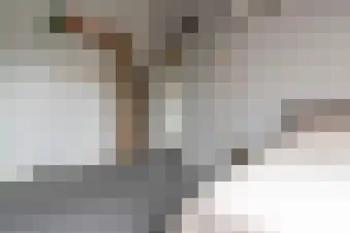 Heijhorst 51 Scherpenzeel thumbnail 29