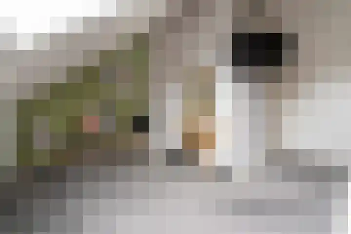 Heijhorst 51 Scherpenzeel thumbnail 30