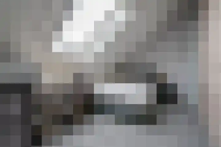 Heijhorst 51 Scherpenzeel thumbnail 31
