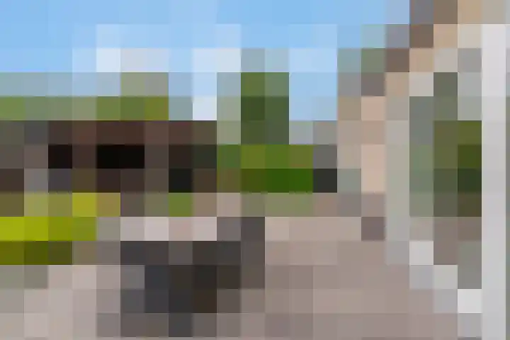 Heijhorst 51 Scherpenzeel thumbnail 35