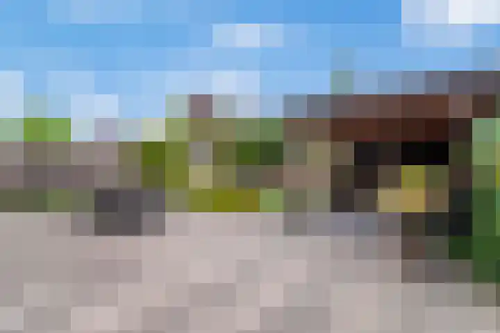Heijhorst 51 Scherpenzeel thumbnail 36