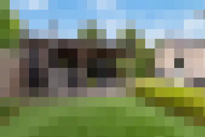 Heijhorst 51 Scherpenzeel thumbnail 37