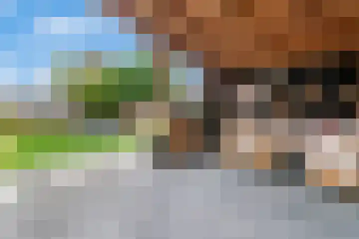 Heijhorst 51 Scherpenzeel thumbnail 39