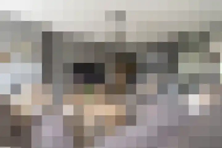 Heijhorst 51 Scherpenzeel thumbnail 4