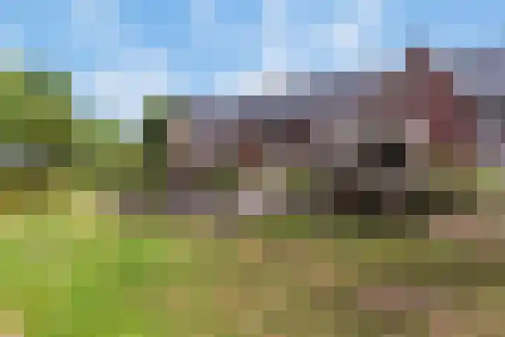 Heijhorst 51 Scherpenzeel thumbnail 45
