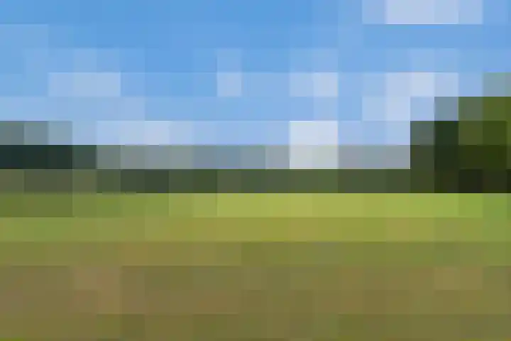 Heijhorst 51 Scherpenzeel thumbnail 46