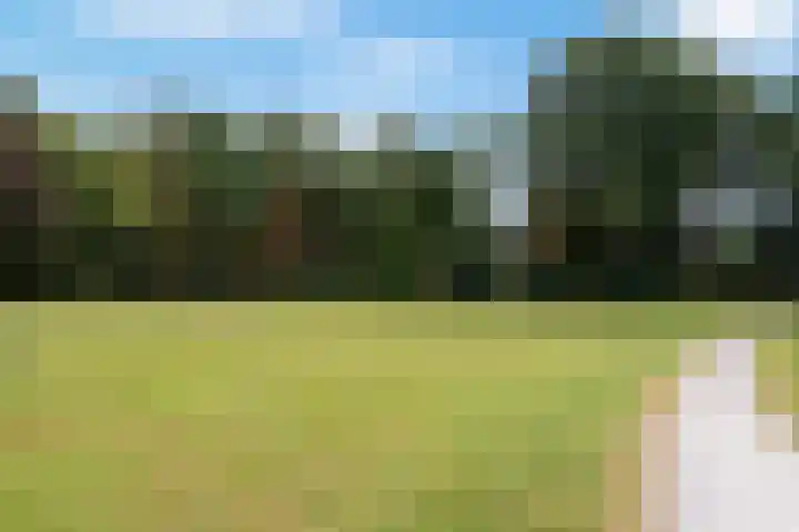 Heijhorst 51 Scherpenzeel thumbnail 48