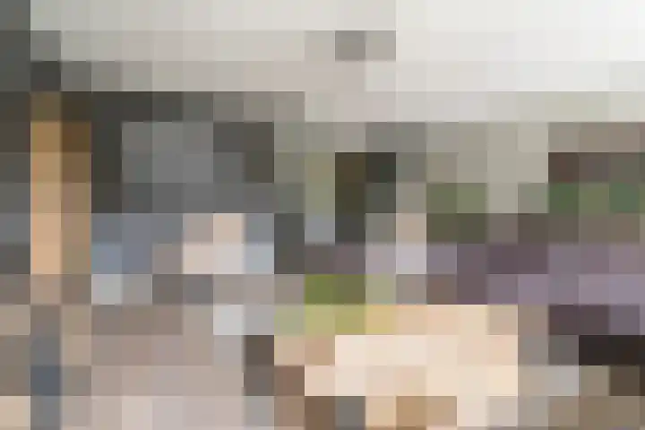 Heijhorst 51 Scherpenzeel thumbnail 6