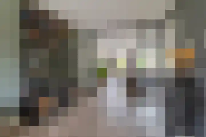 Heijhorst 51 Scherpenzeel thumbnail 7