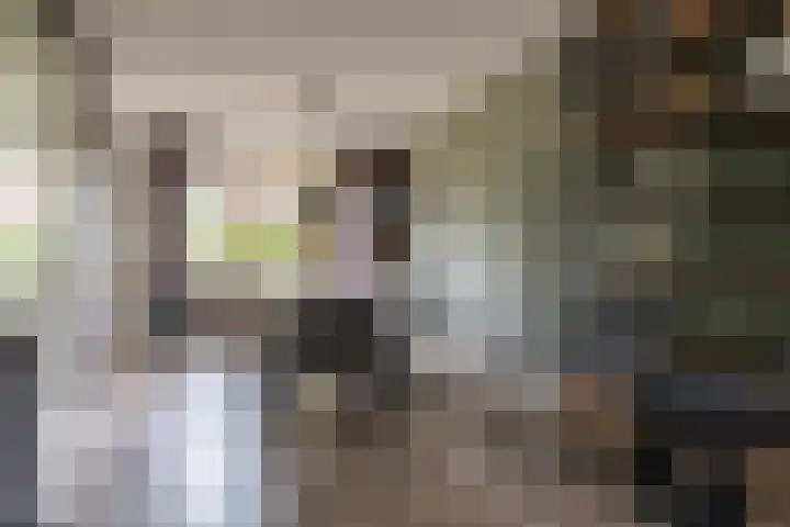 Heijhorst 51 Scherpenzeel thumbnail 8