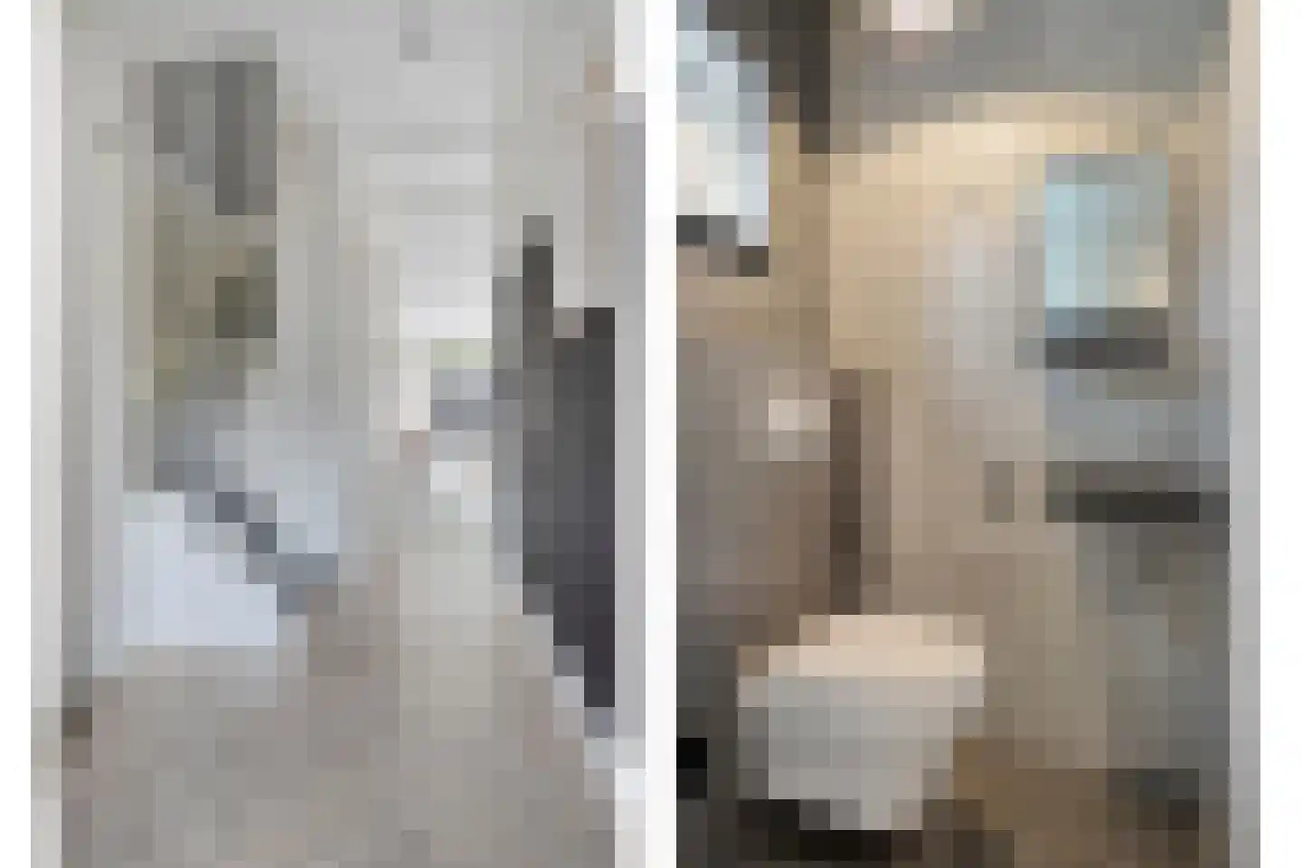 Heijhorst 9 Scherpenzeel thumbnail 10