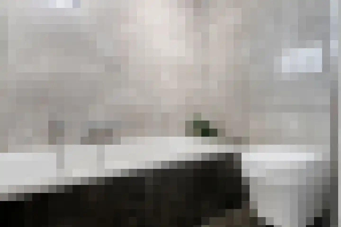 Heijhorst 9 Scherpenzeel thumbnail 11