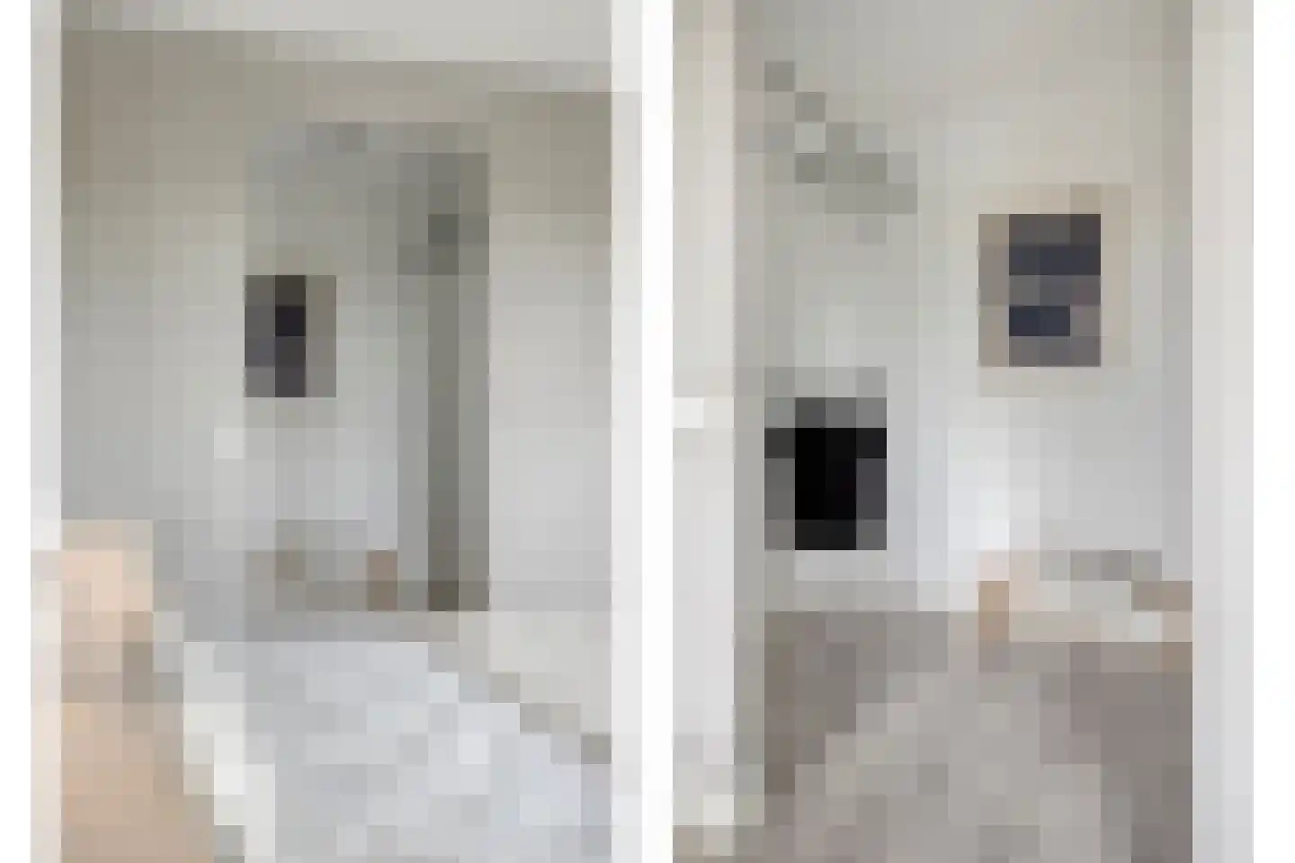 Heijhorst 9 Scherpenzeel thumbnail 15