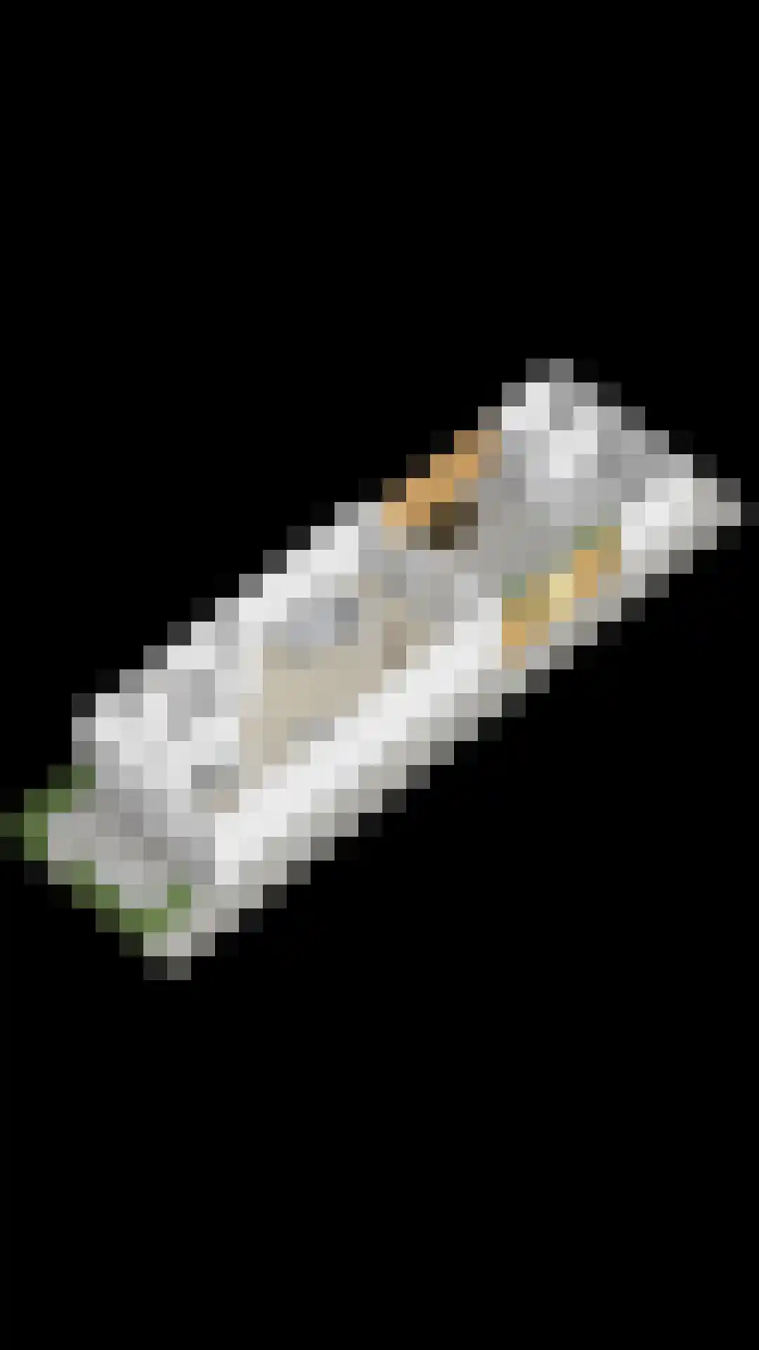 Heijhorst 9 Scherpenzeel thumbnail 35