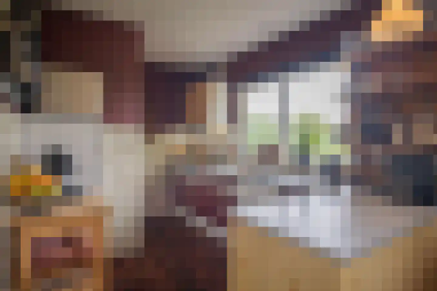 Heijinkdijk 2 D Aalten thumbnail 15