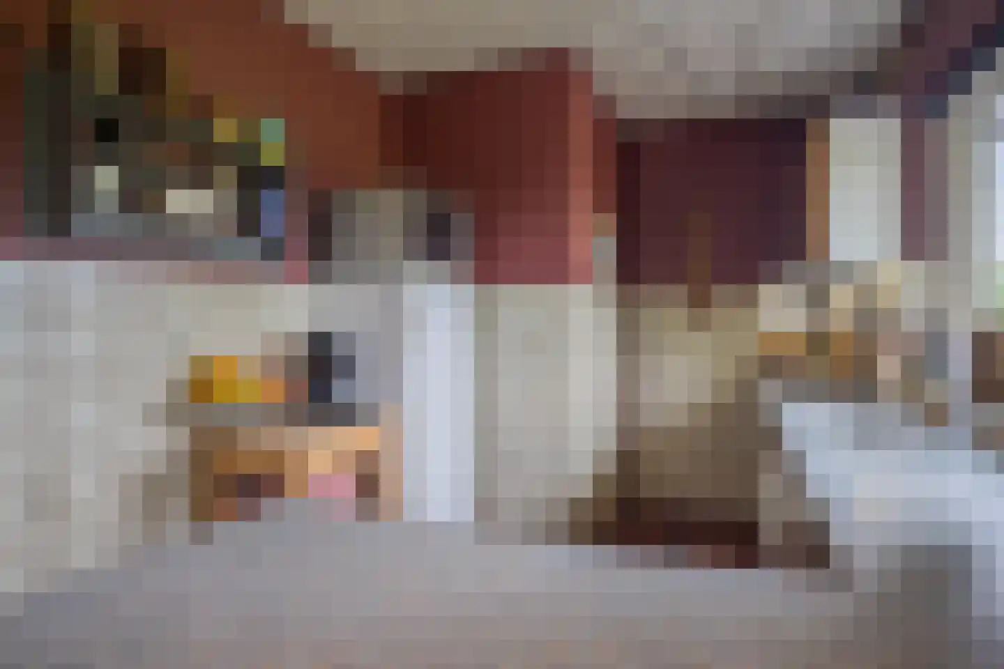 Heijinkdijk 2 D Aalten thumbnail 19