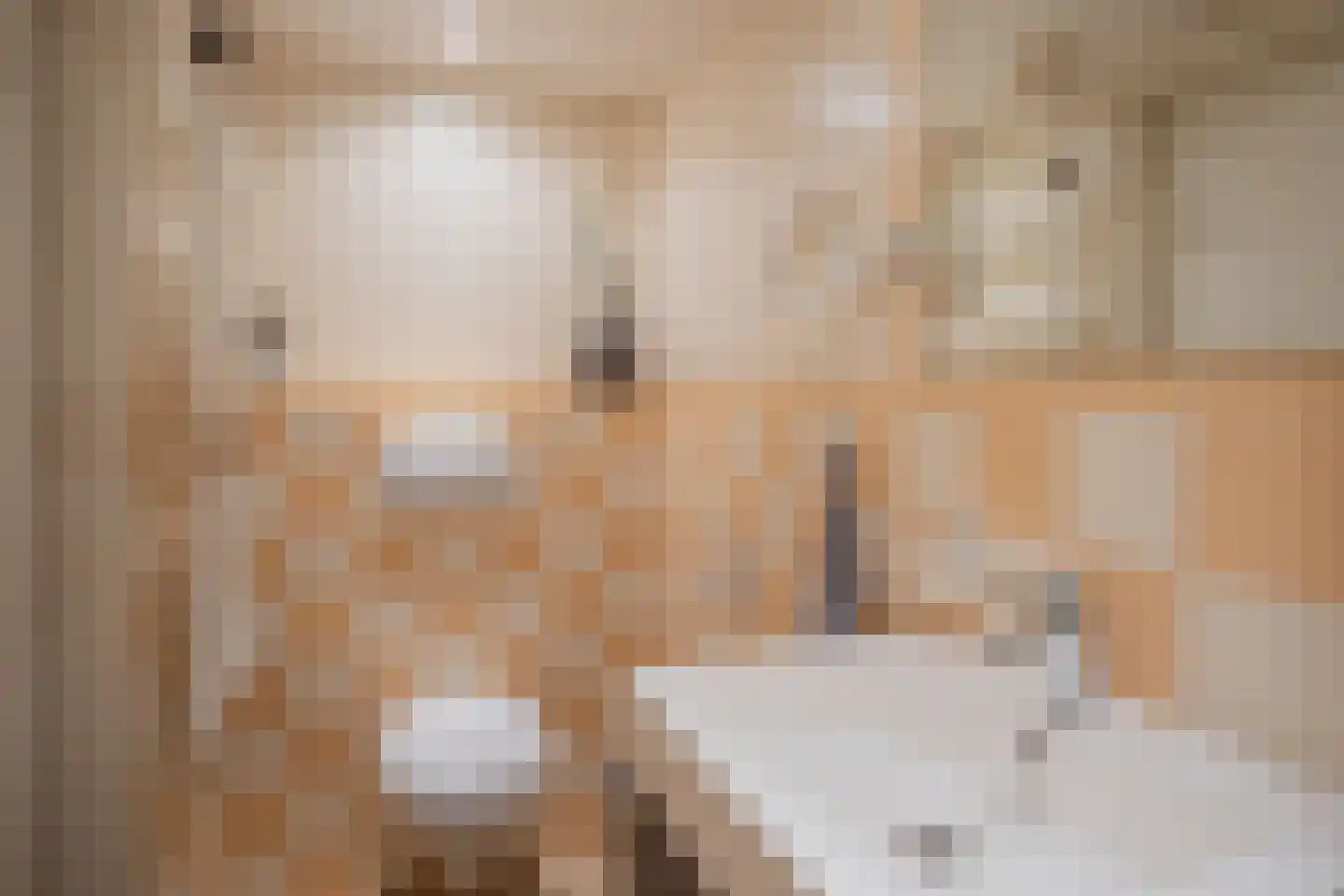 Heijinkdijk 2 D Aalten thumbnail 24