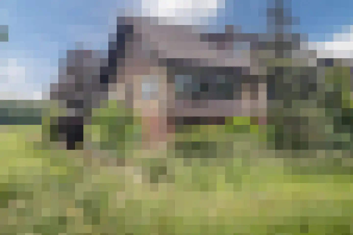 Heijinkdijk 2 D Aalten foto 3