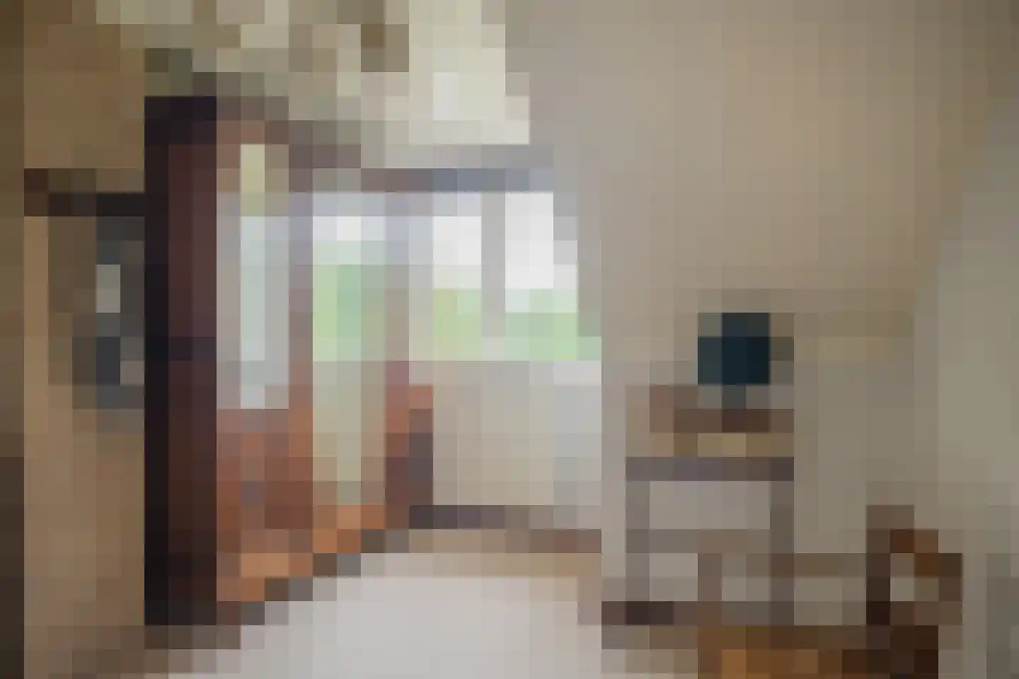 Heijinkdijk 2 D Aalten thumbnail 30