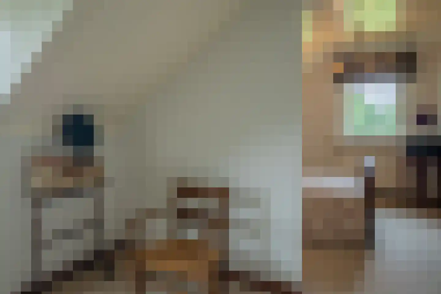 Heijinkdijk 2 D Aalten thumbnail 31