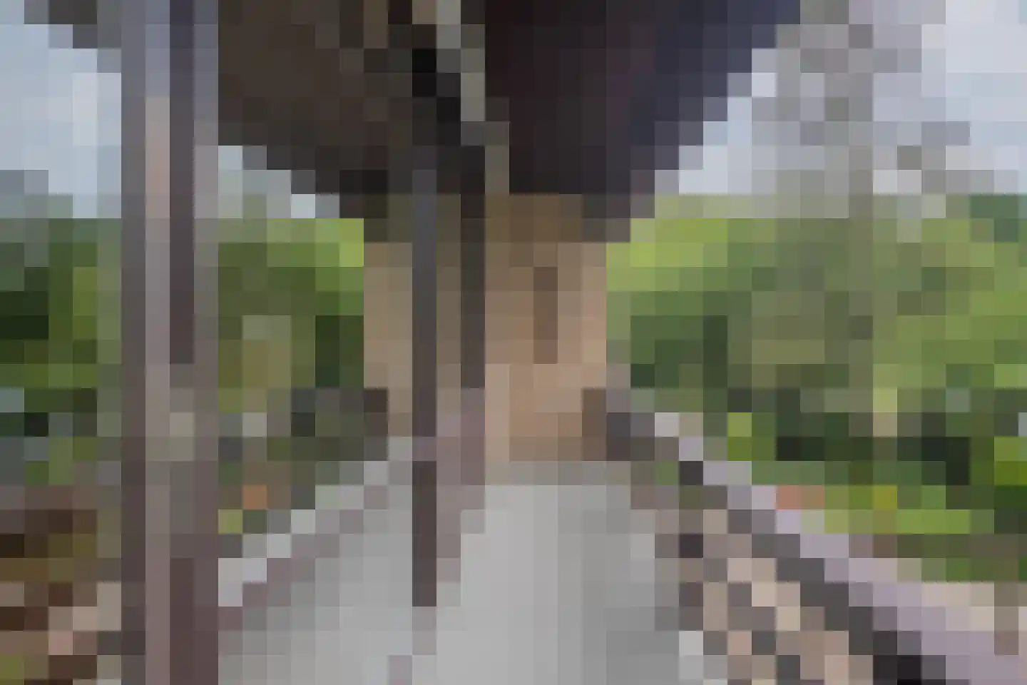 Heijinkdijk 2 D Aalten thumbnail 42