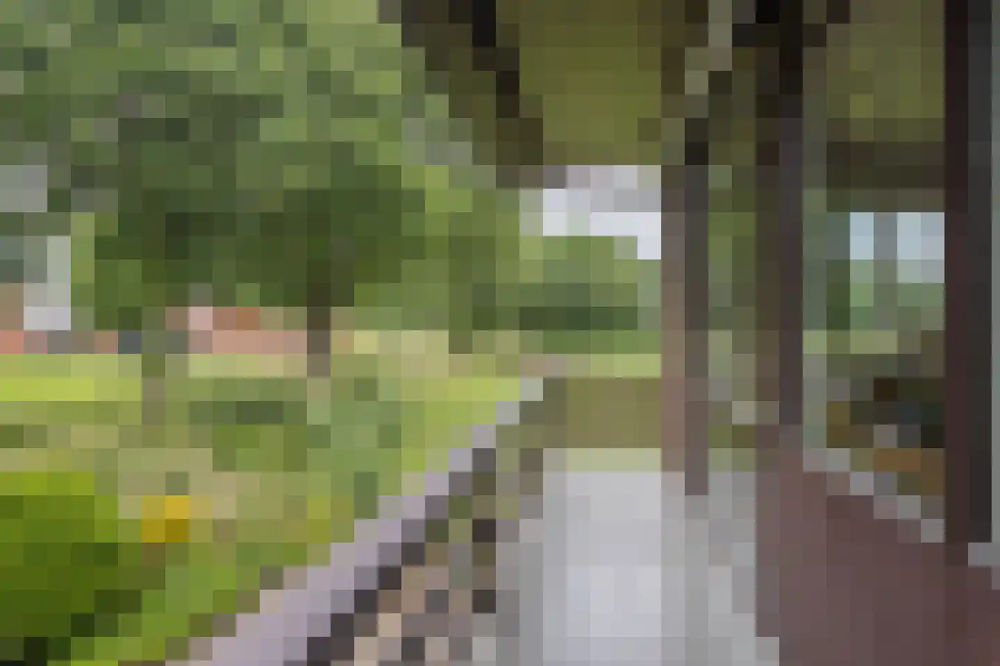 Heijinkdijk 2 D Aalten thumbnail 43