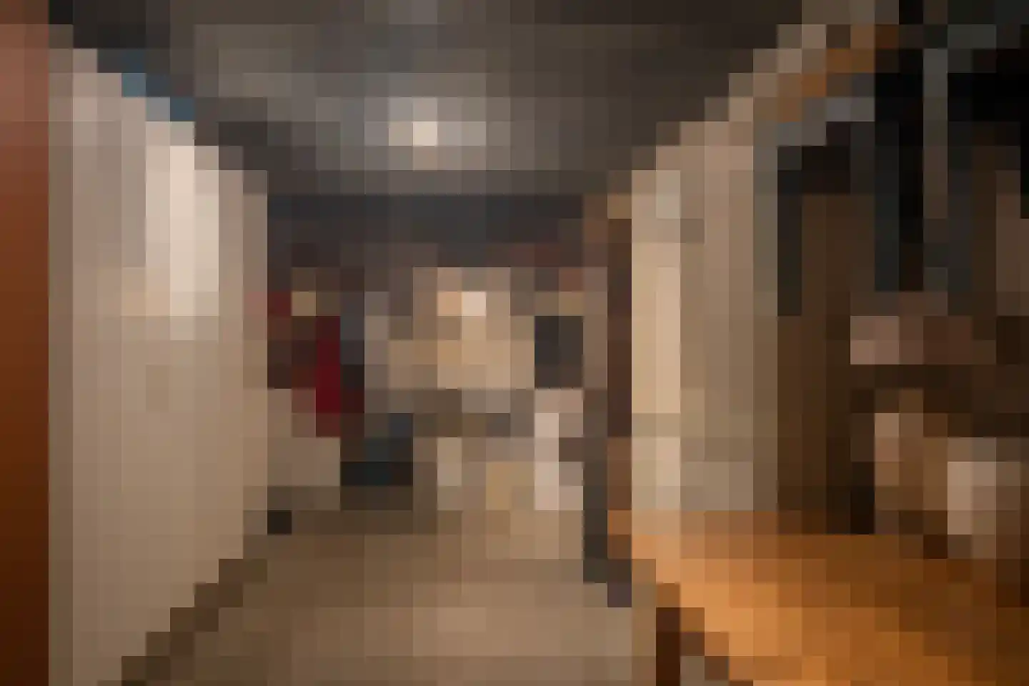 Heijinkdijk 2 D Aalten thumbnail 48