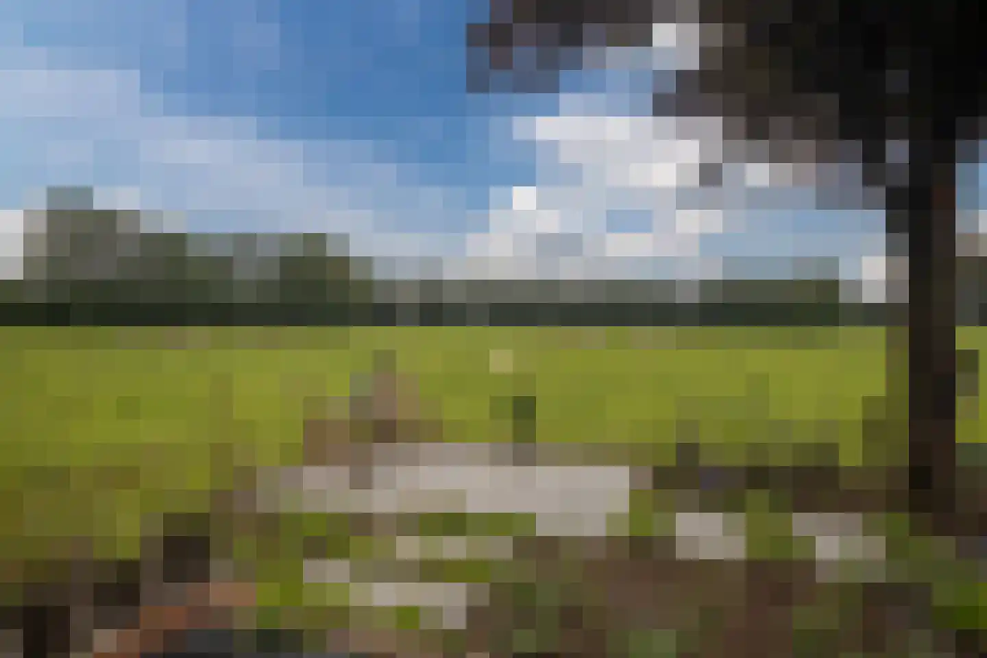 Heijinkdijk 2 D Aalten thumbnail 54