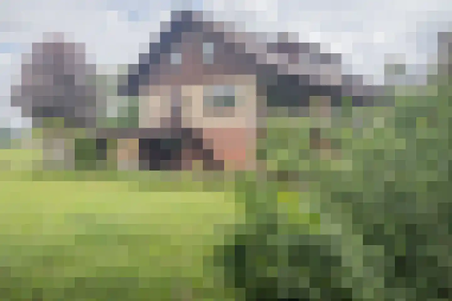Heijinkdijk 2 D Aalten thumbnail 59
