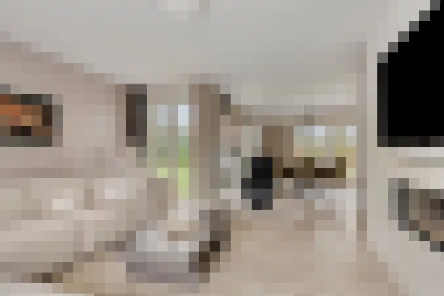 Heijinksweg 20 a Goor thumbnail 10