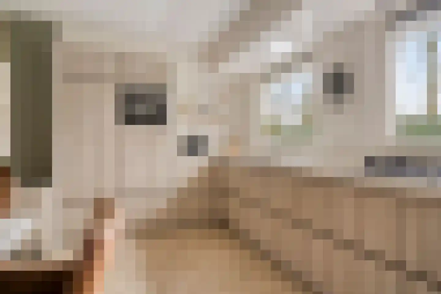 Heijinksweg 20 a Goor thumbnail 18