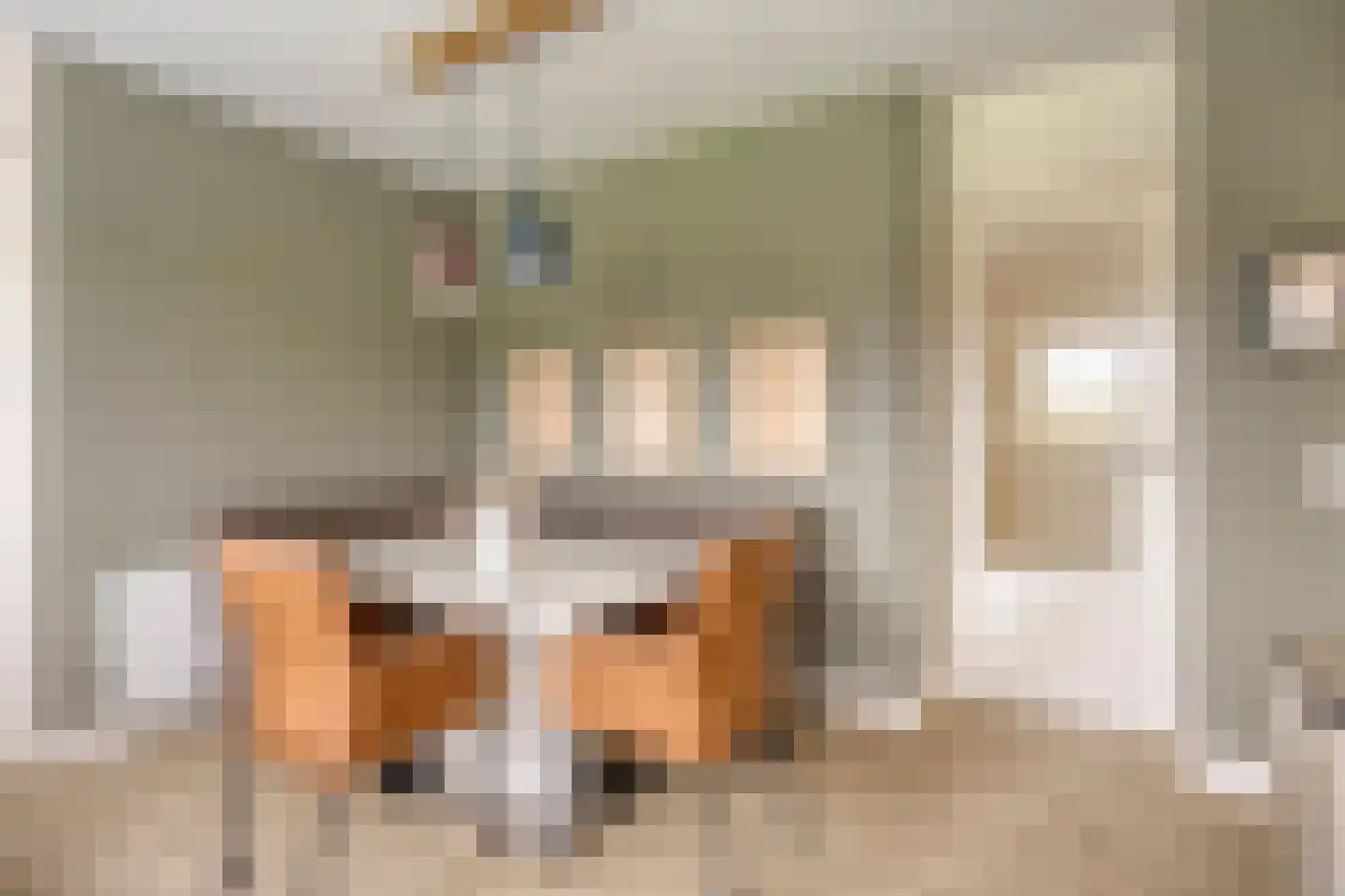 Heijinksweg 20 a Goor thumbnail 20