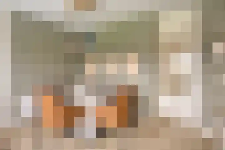 Heijinksweg 20 a Goor thumbnail 20