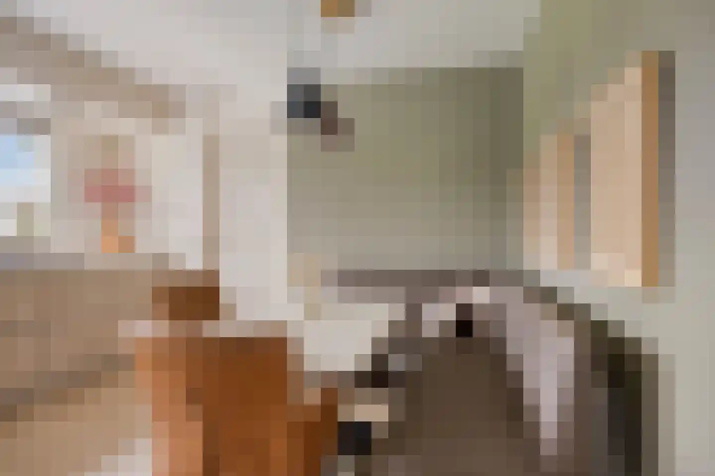 Heijinksweg 20 a Goor thumbnail 21