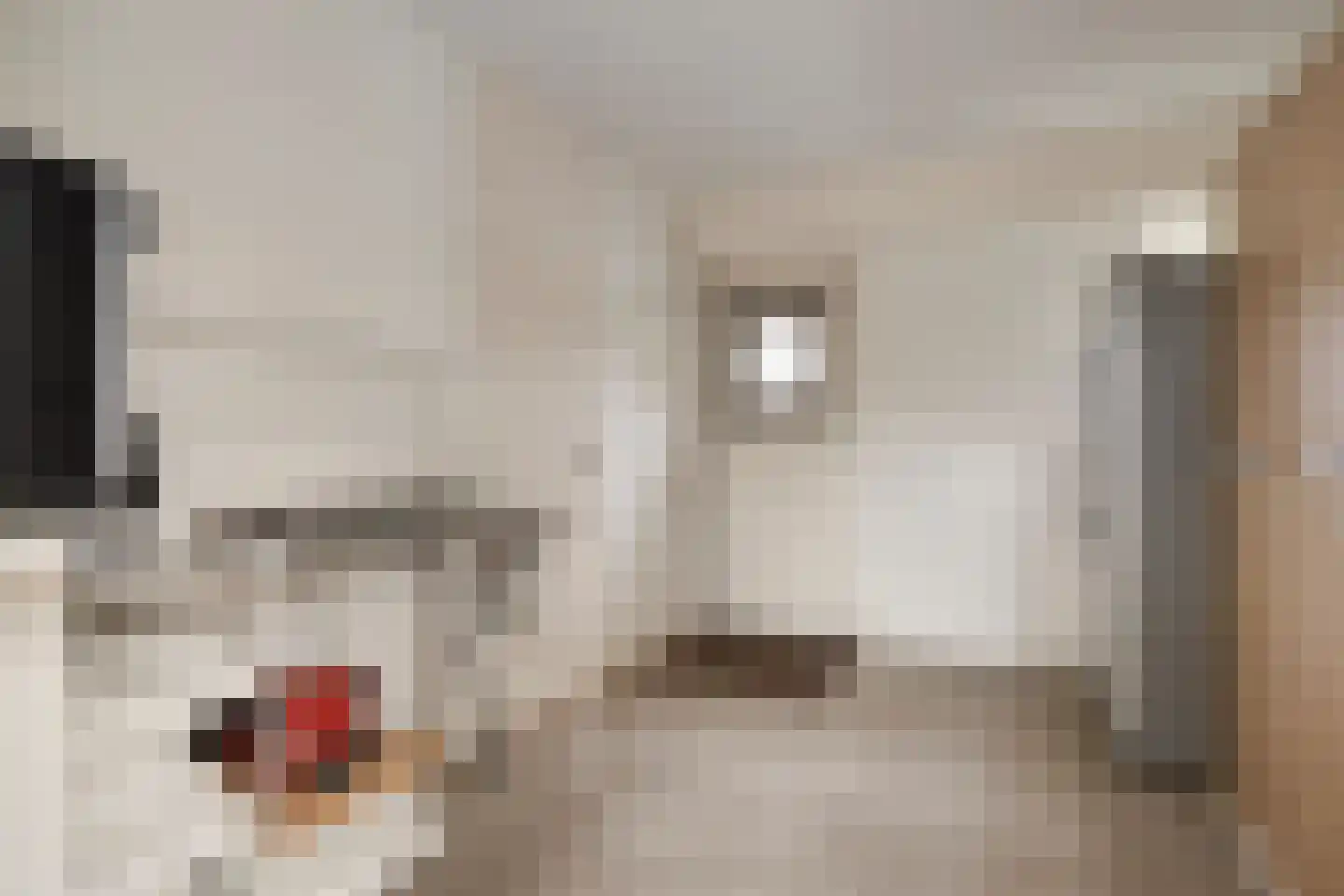 Heijinksweg 20 a Goor thumbnail 24