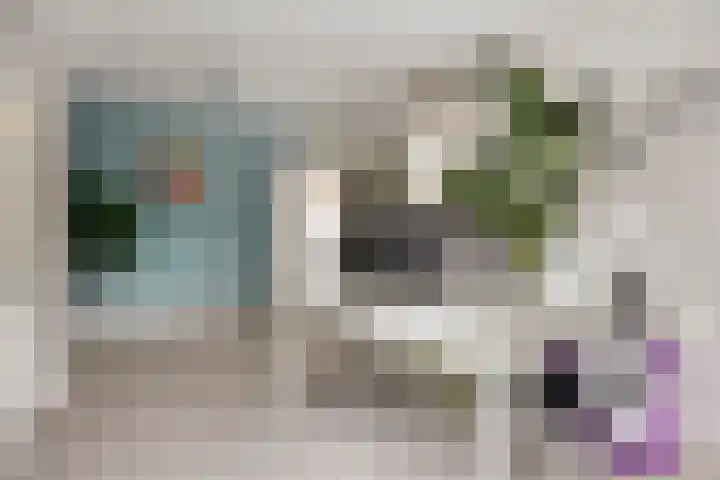 Heijinksweg 20 a Goor thumbnail 27