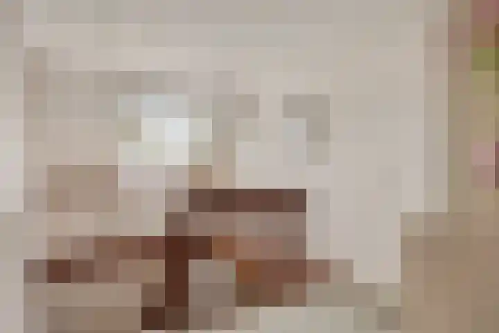 Heijinksweg 20 a Goor thumbnail 28