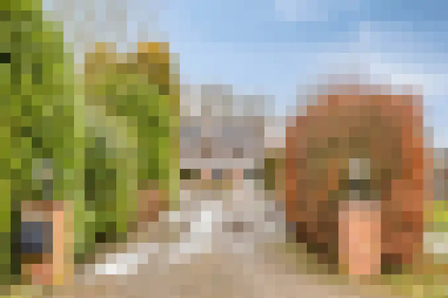 Heijinksweg 20 a Goor foto 3