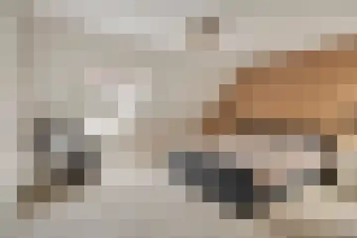 Heijinksweg 20 a Goor thumbnail 30