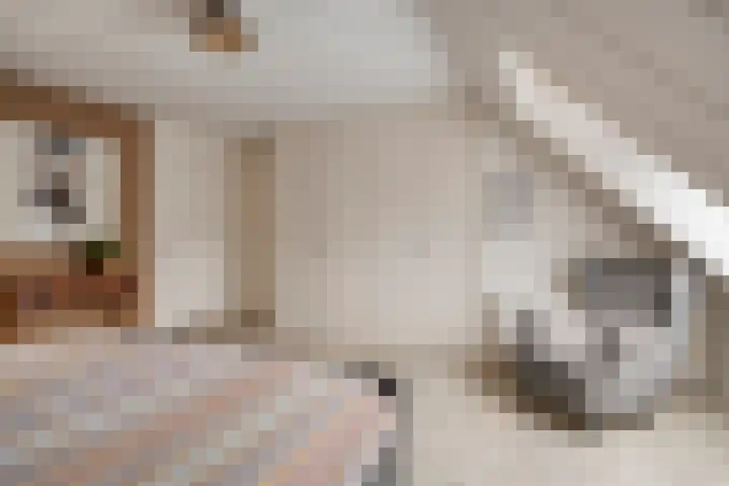 Heijinksweg 20 a Goor thumbnail 31
