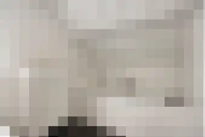 Heijinksweg 20 a Goor thumbnail 34