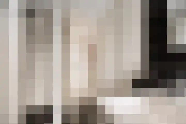 Heijinksweg 20 a Goor thumbnail 36